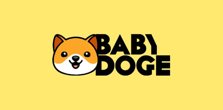 什么是BabyDoge币?BabyDoge币初学者指南