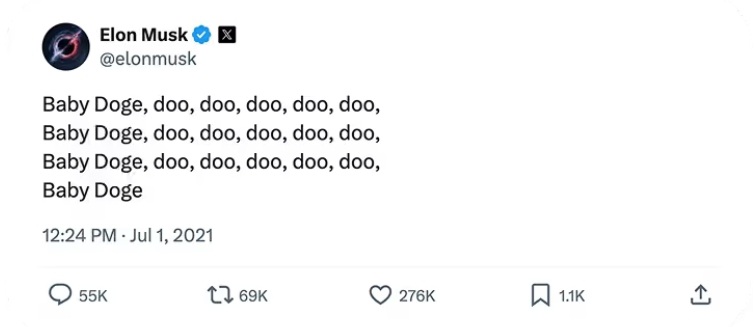 什么是BabyDoge币?BabyDoge币初学者指南