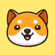 什么是BabyDoge币?BabyDoge币初学者指南