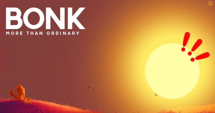 什么是Bonk Coin(BONK)?BONK币含义,价格预测及投资分析详解