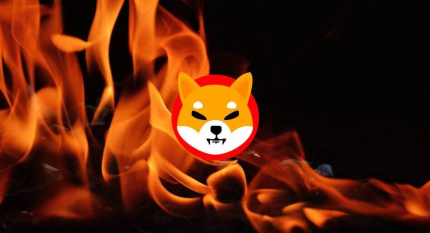  柴犬：SHIB 可能通过 3 种激进方式在 2 年内跌至 0.01 美元 