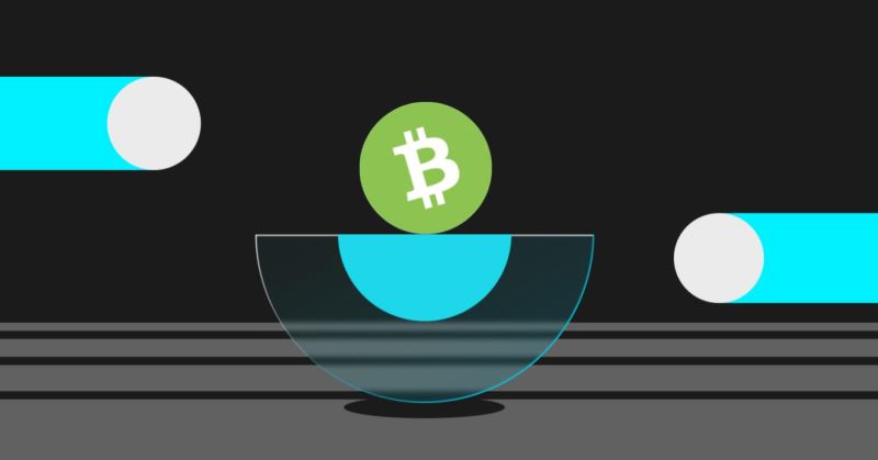 什么是比特币现金（BCH）？比特币现金入门指南